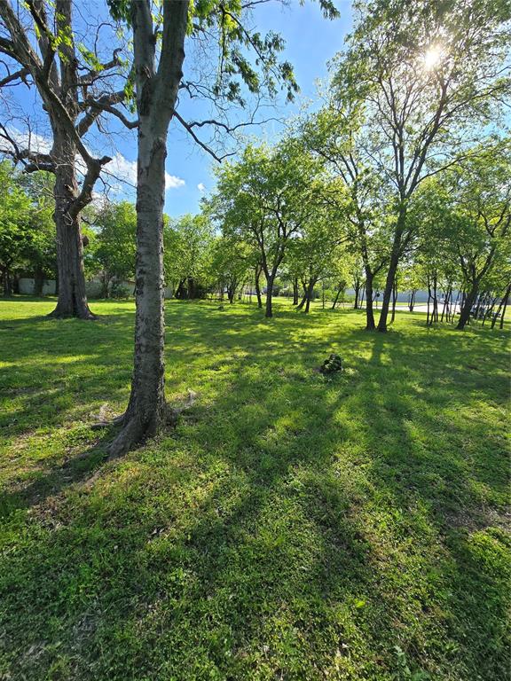 823 Millard Street Dallas, TX 75203 - Photo 6 of 25 a view of a field with a tree