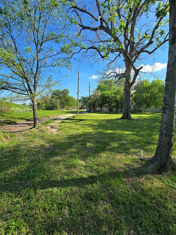 823 Millard Street Dallas, TX 75203 - Photo 7 of 25 a view of a big yard with a tree