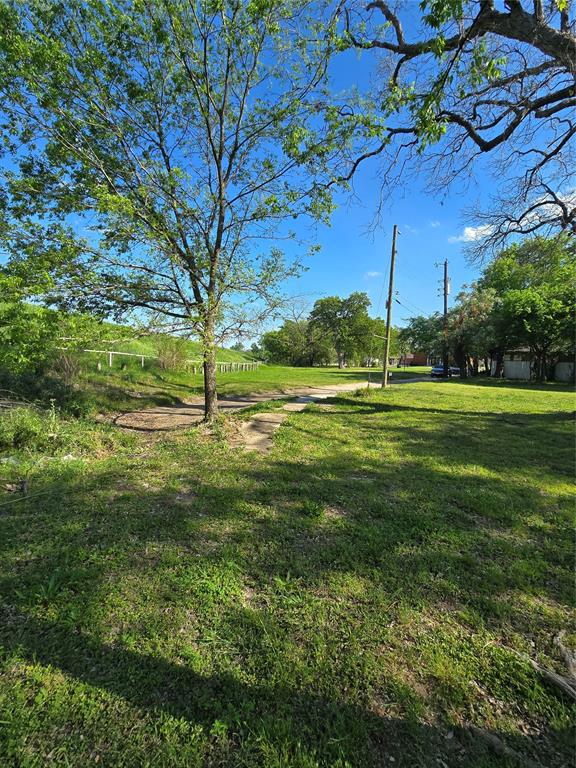 823 Millard Street Dallas, TX 75203 - Photo 10 of 25 a view of a garden with a tree