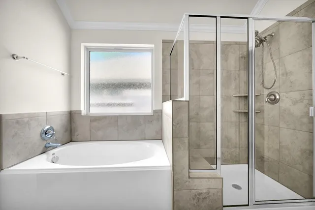 a bathroom with a bath tub and a shower