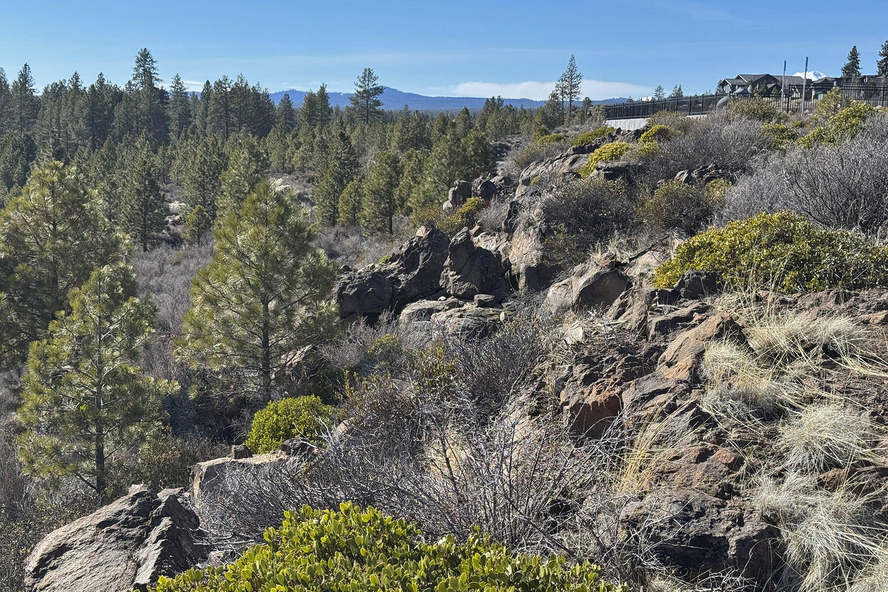 Outrider Loop Bend, Unit 32 Bend, OR 97702 - Photo 12 of 15
