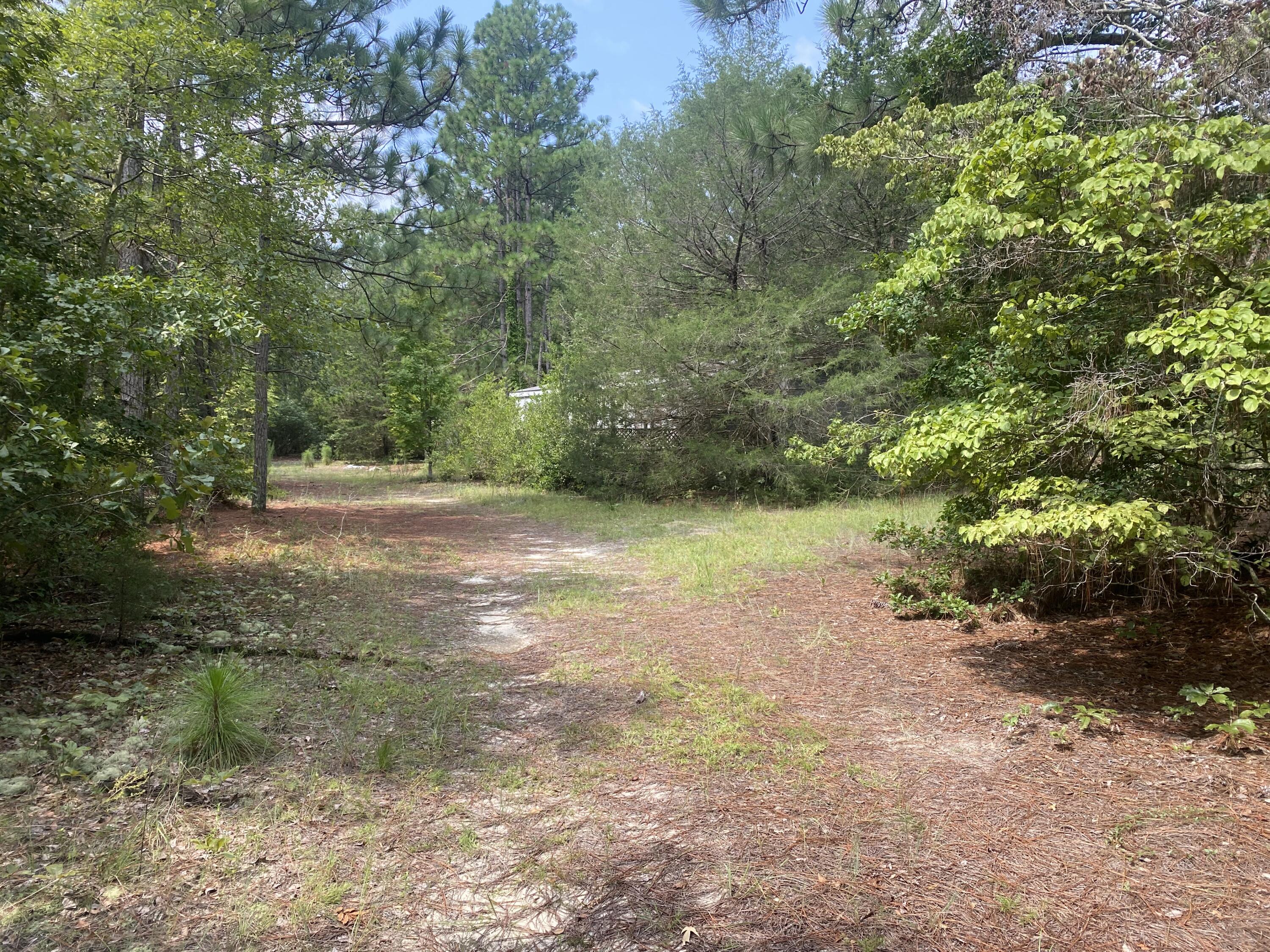 723 Bethcar Church Road Wagener, SC 29164 - Photo 16 of 16