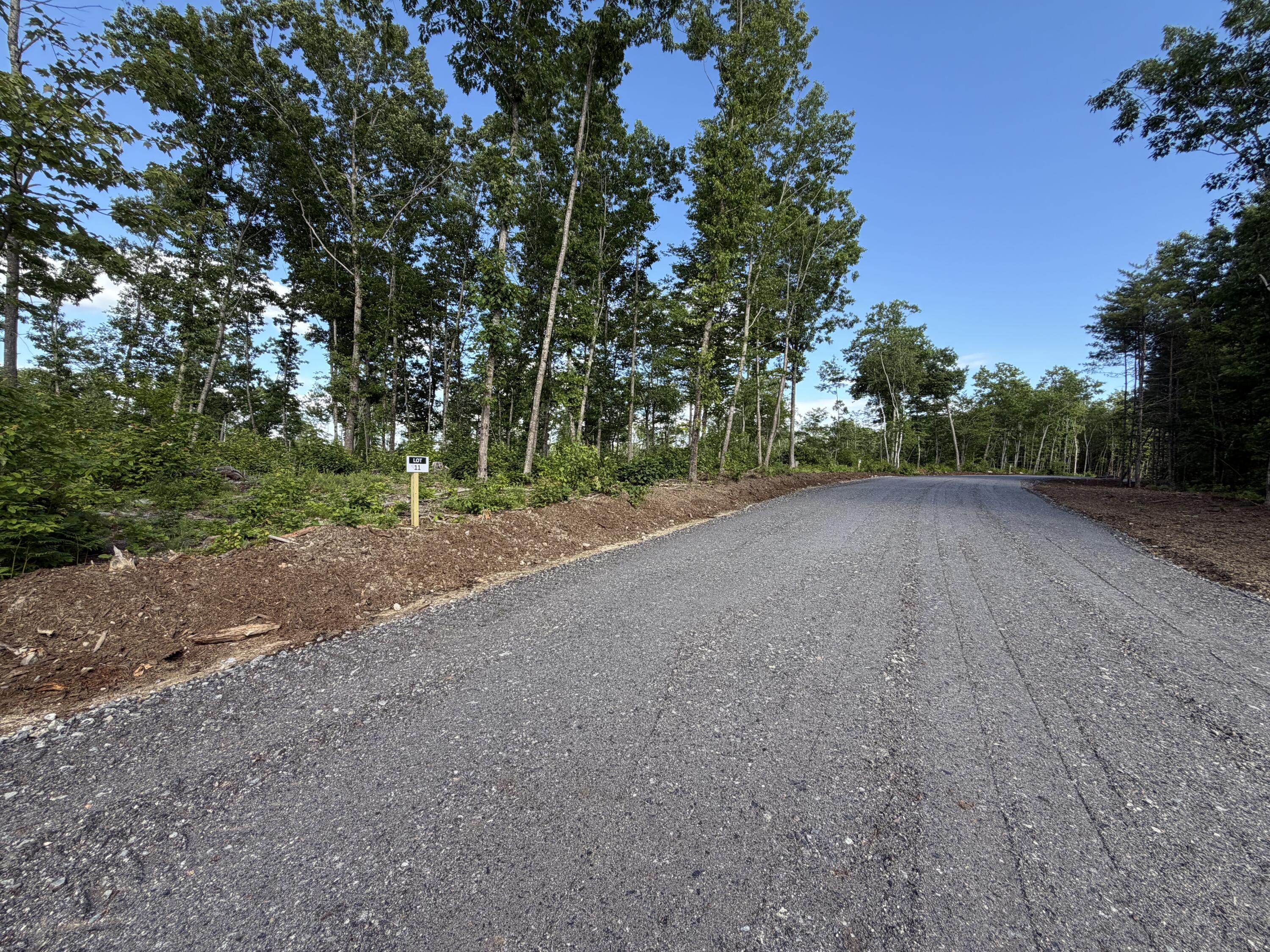 Lot 11 Casco Road Naples, ME 04055 - Photo 17 of 17 IMG_4958