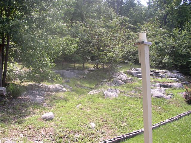 66 Young Mountain Road Pelham, TN 37366 - Photo 2 of 20 a backyard of a house with lots of green space