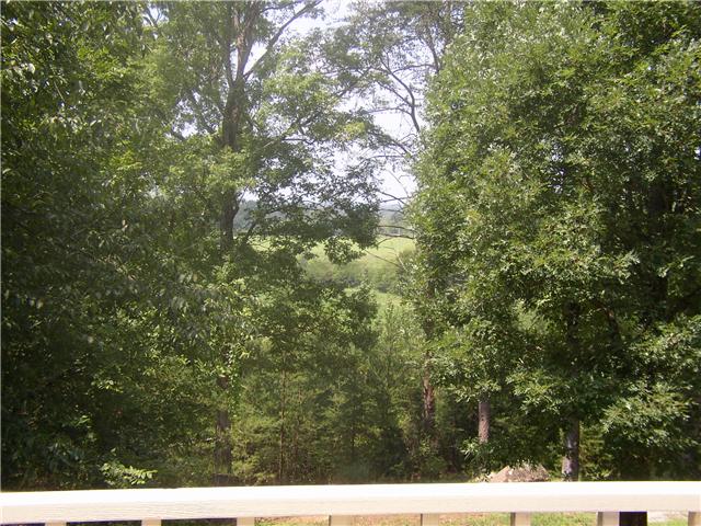 66 Young Mountain Road Pelham, TN 37366 - Photo 4 of 20 a view of a trees
