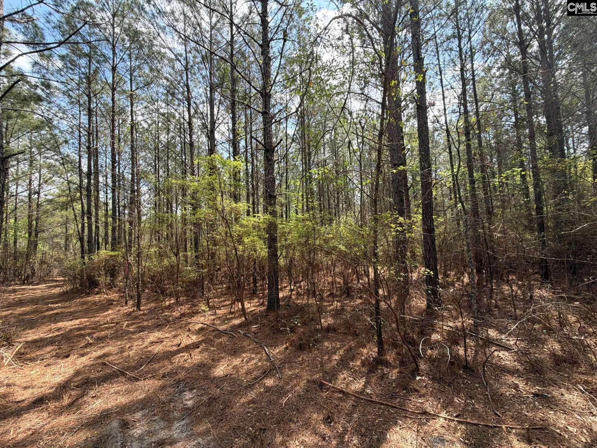 2 Mt Calvary Rd Ridge Spring, Unit CA 2 Ridge Spring, SC 29129 - Photo 19 of 29