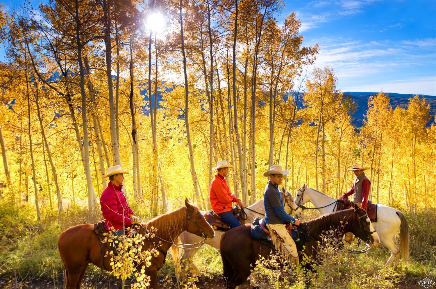 1550 Diamond Star Road Wolcott, CO 81655 - Photo 2 of 25 a living room with furniture and a painting on the wall