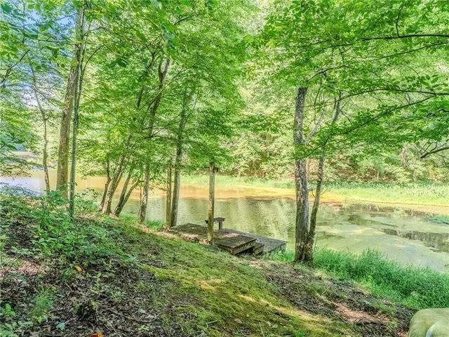 $3,200,000 | 805 Old Mill Court, Ball Ground, GA 30107