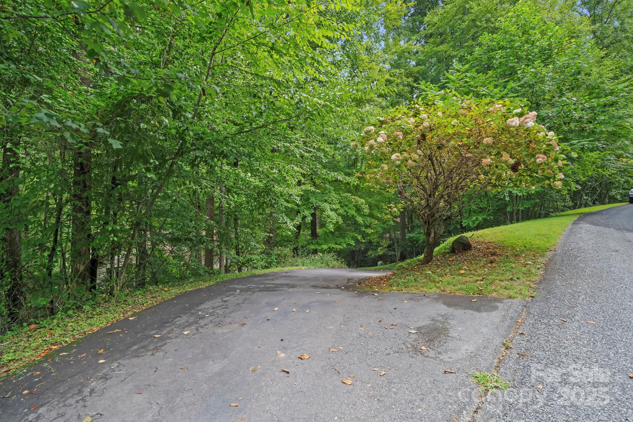 458 Blue Mist Way Arden, NC 28704 - Photo 41 of 47 a view of a road with a yard