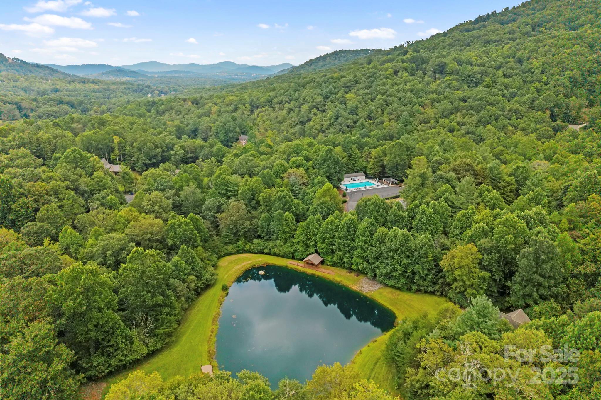 458 Blue Mist Way Arden, NC 28704 - Photo 43 of 47 a view of a green yard with large trees