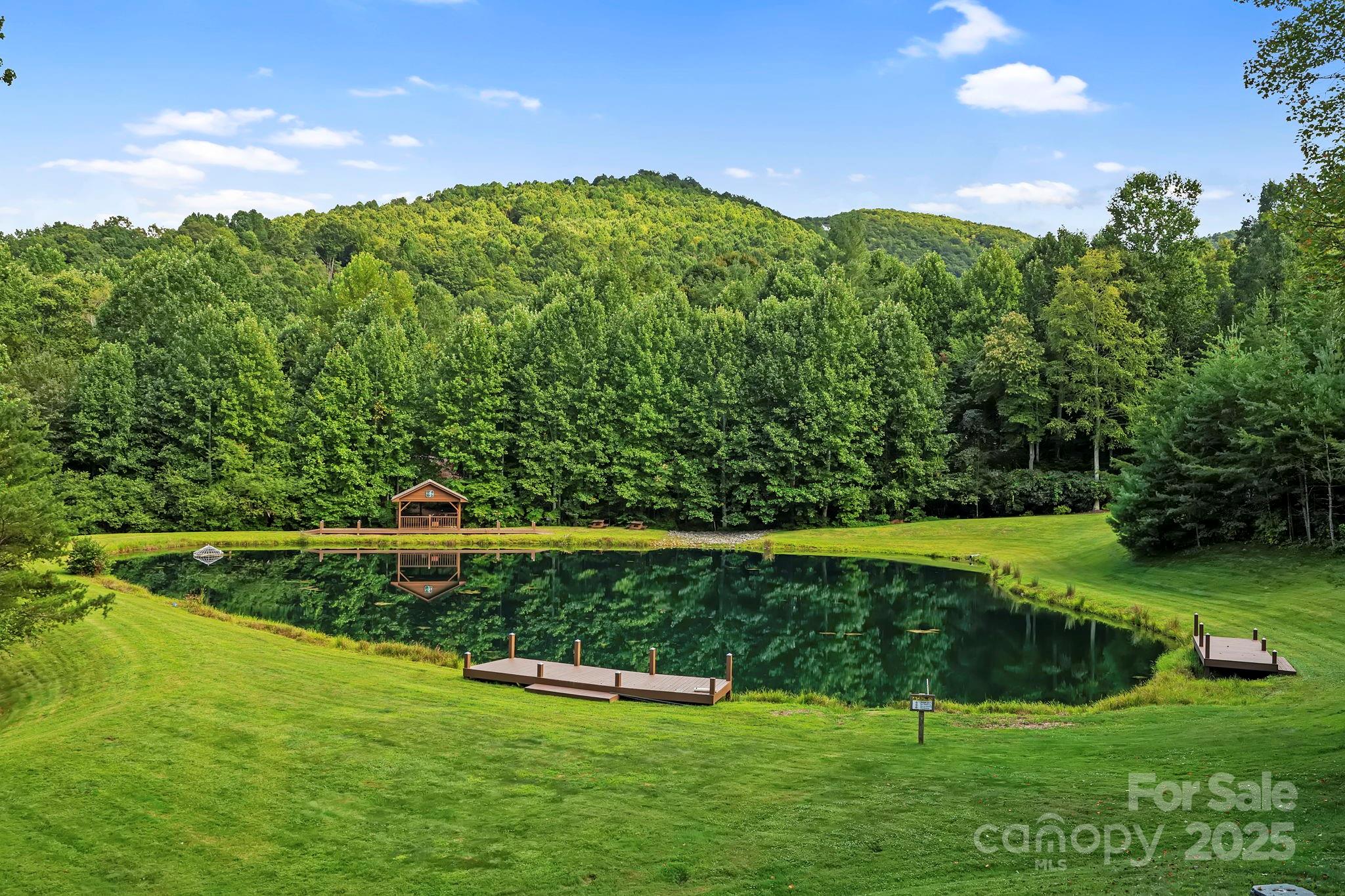 458 Blue Mist Way Arden, NC 28704 - Photo 47 of 47 a view of a garden with an outdoor space
