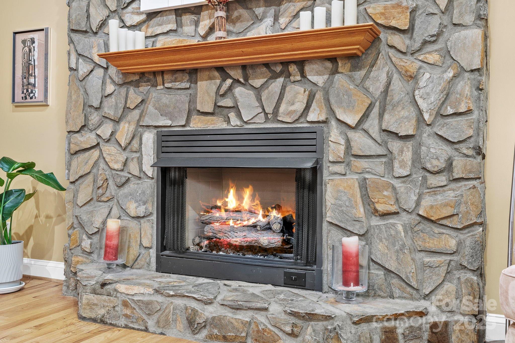 458 Blue Mist Way Arden, NC 28704 - Photo 10 of 47 a view of fireplace with wooden floor