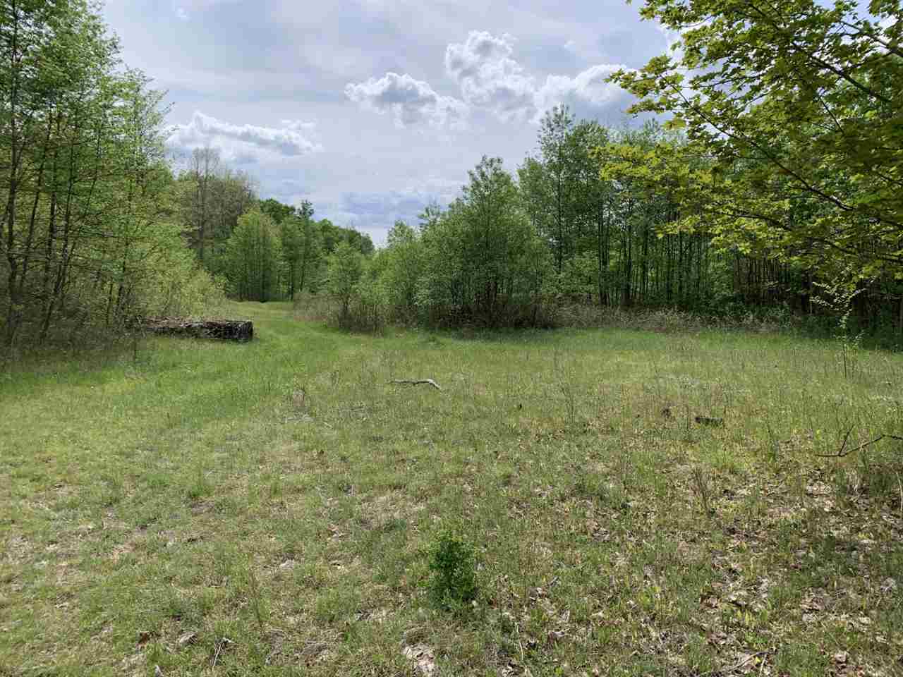 40 South 17 Road Boon, MI 49618 - Photo 5 of 33