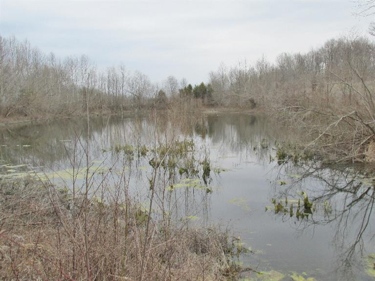 3301 Lancaster Road Richmond, KY 40475 - Photo 8 of 13 Photo 8