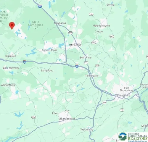 a white plant sitting in a kitchen next to a window