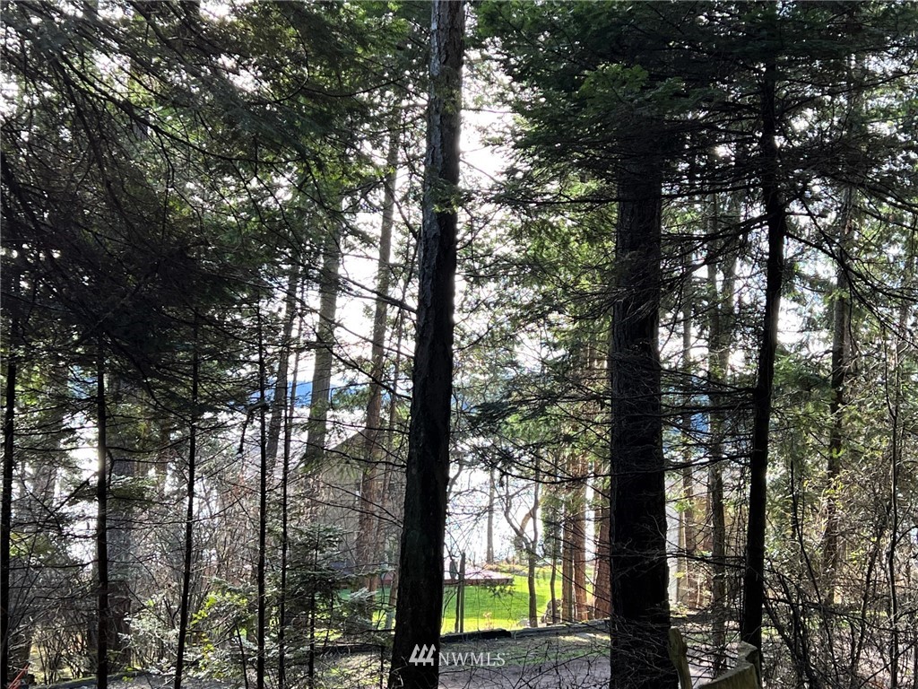 0 Reed Bay Road Anacortes, WA 98221 - Photo 6 of 23 a view of forest