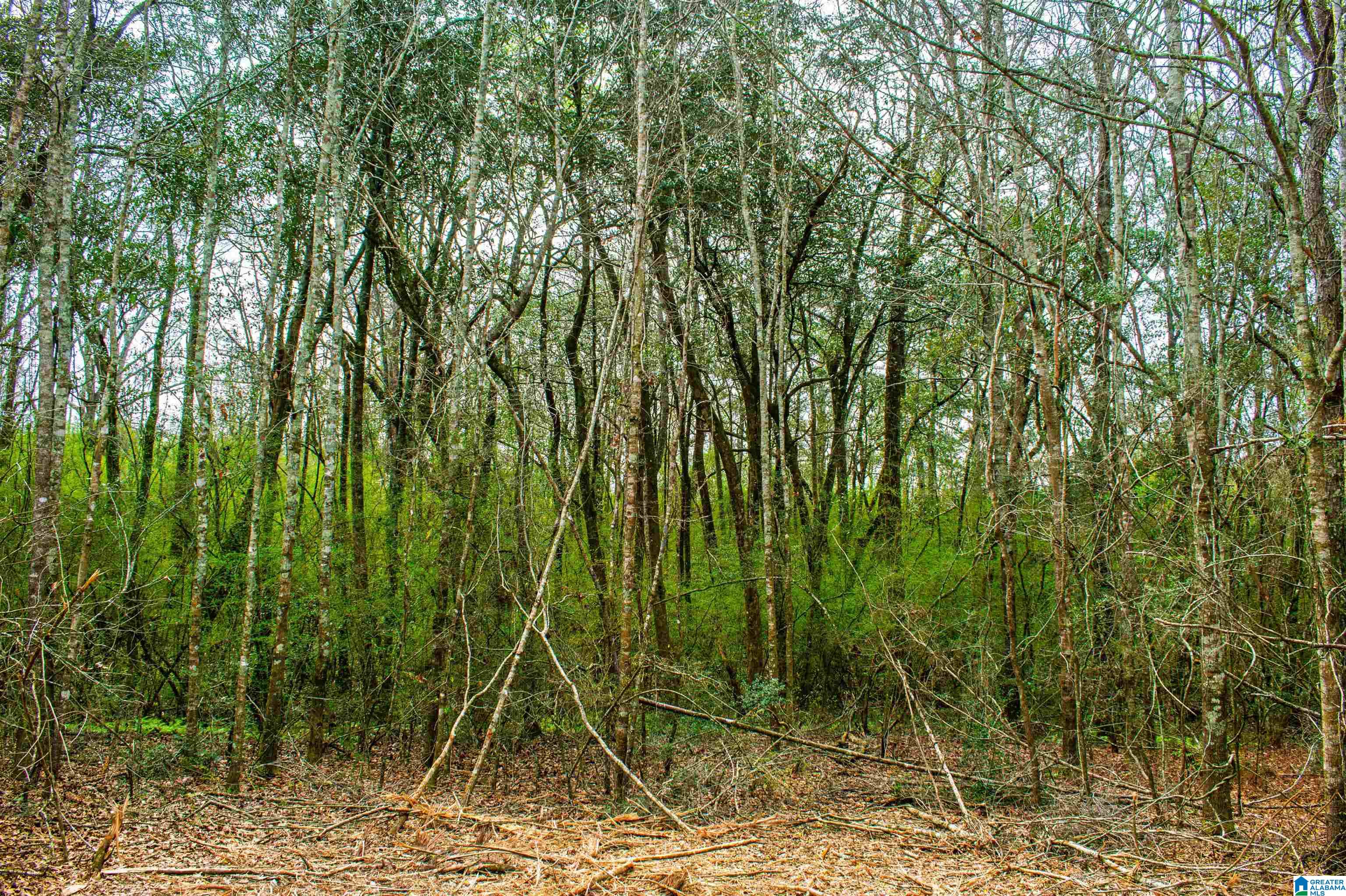 27180 Deer Run Road Opp, AL 36467 - Photo 57 of 60