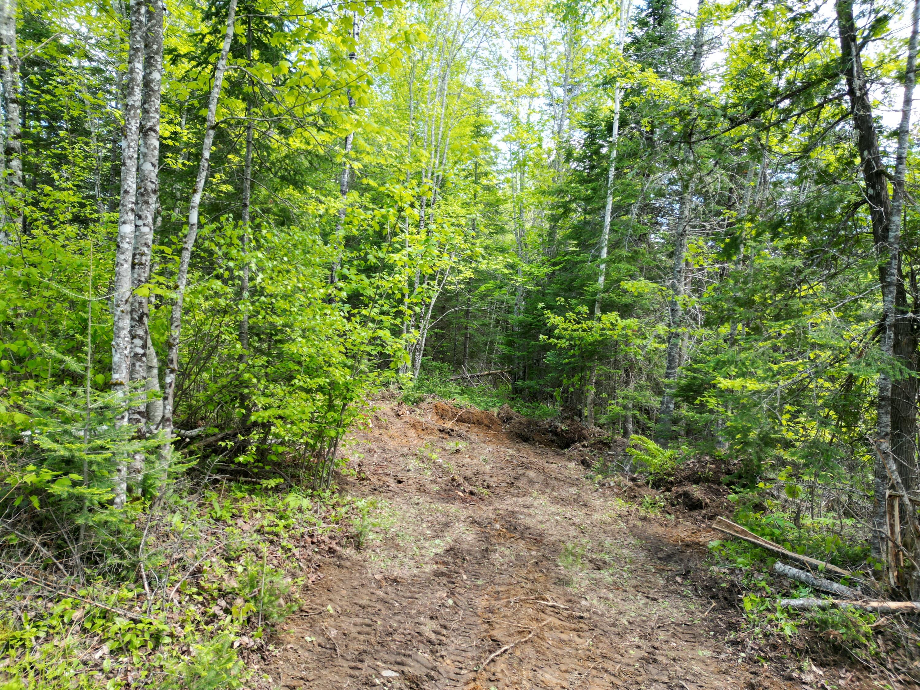 Lot 12-1a Hale Farm Road Lee, ME 04455 - Photo 3 of 14 DJI_0017
