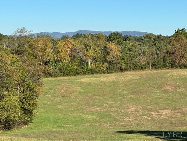 6223 Joppa Mill Road Moneta, VA 24121 - Photo 53 of 55