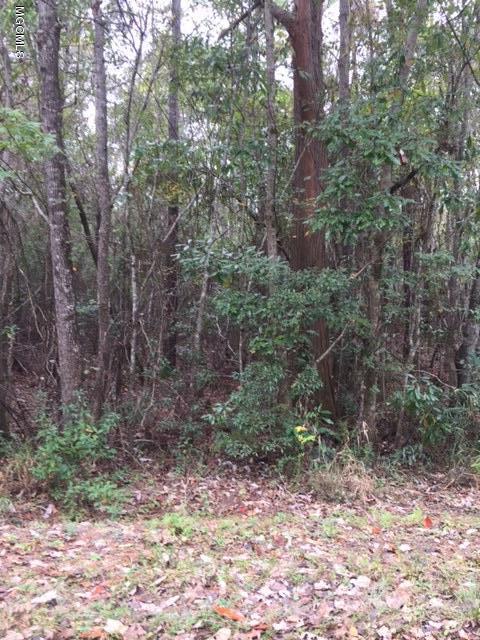Lot 47 River Road Gulfport, MS 39503 - Photo 1 of 1 Lots Biloxi River Estates