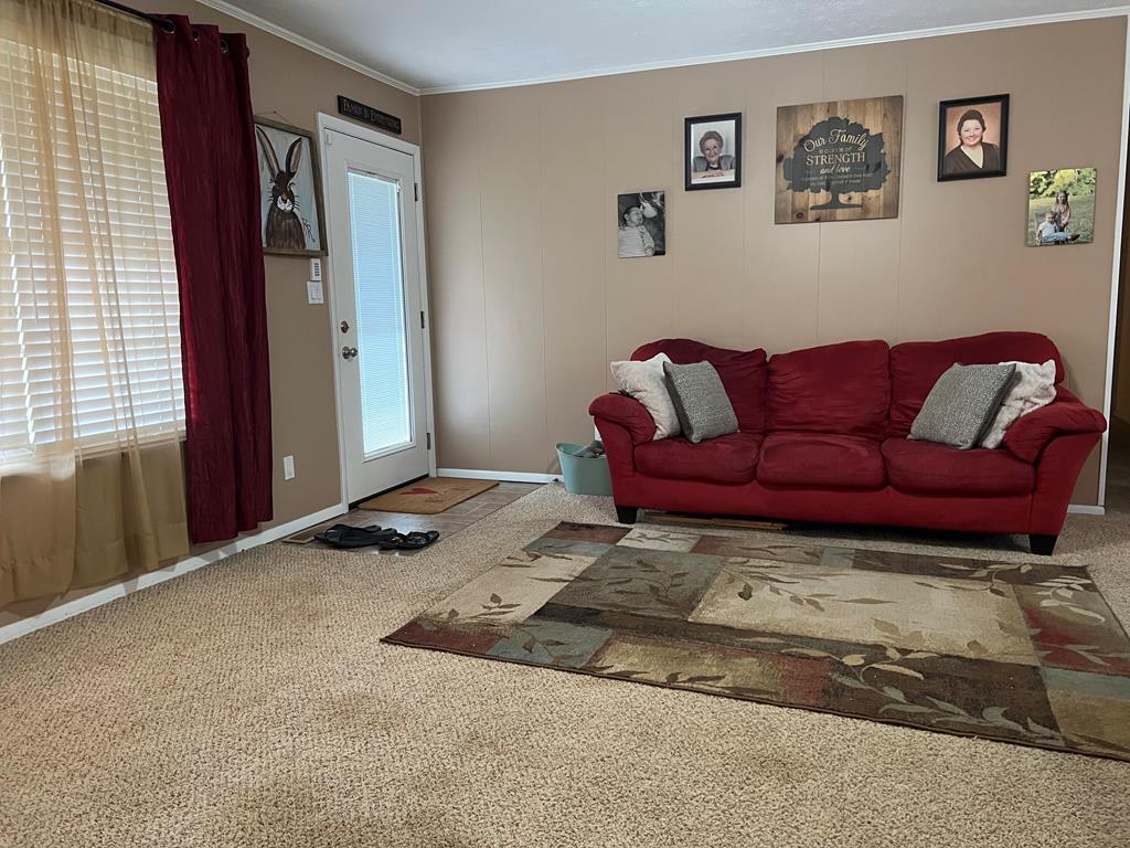 60 Warrensburg Access Road Greeneville, TN 37743 - Photo 11 of 25 Warrensburg 11