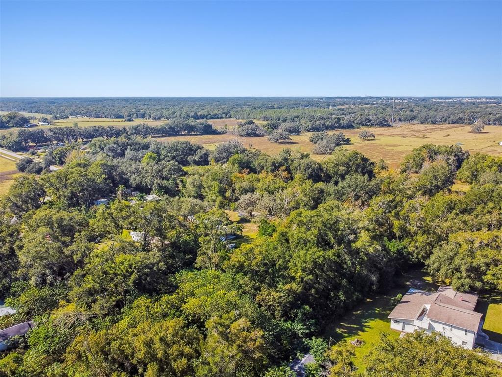 8408 Richland School Road Zephyrhills, FL 33540 - Photo 18 of 29