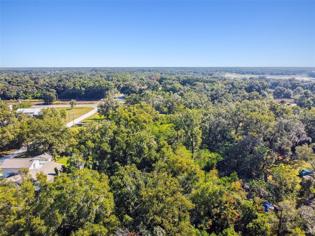 8408 Richland School Road Zephyrhills, FL 33540 - Photo 2 of 29