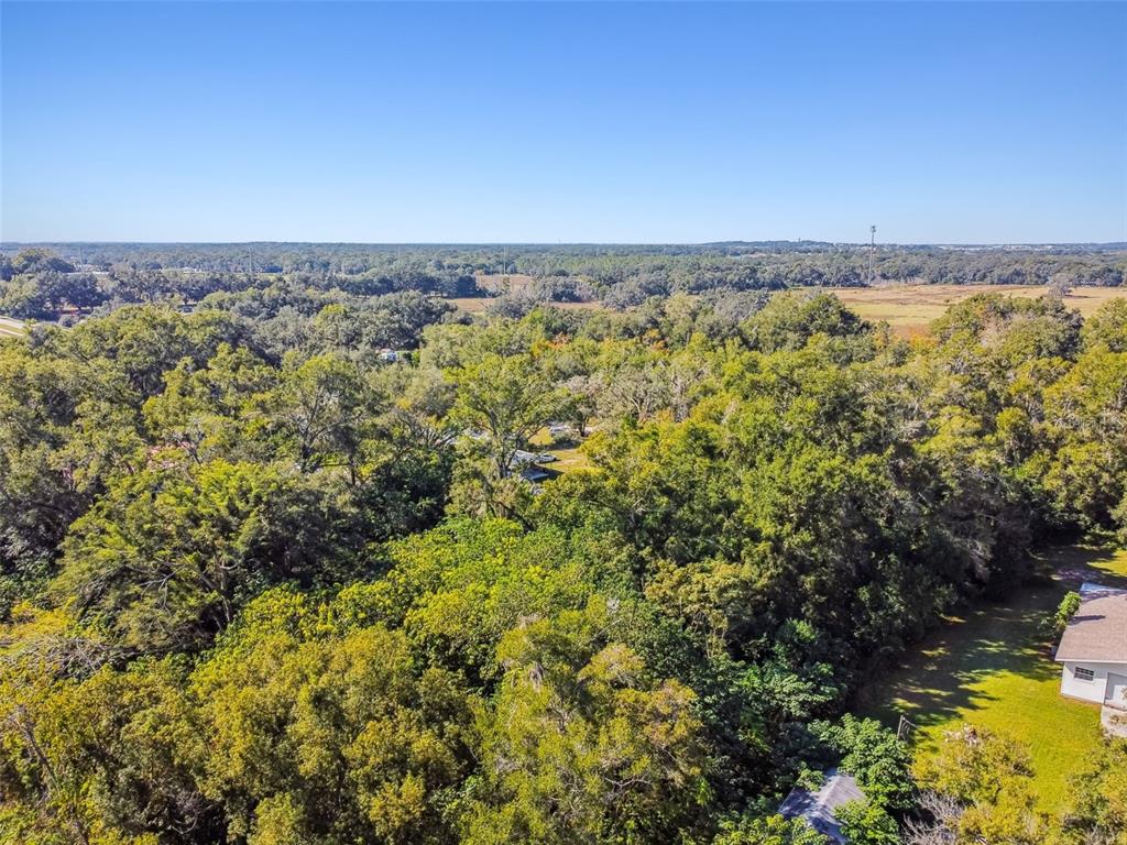 8408 Richland School Road Zephyrhills, FL 33540 - Photo 22 of 29