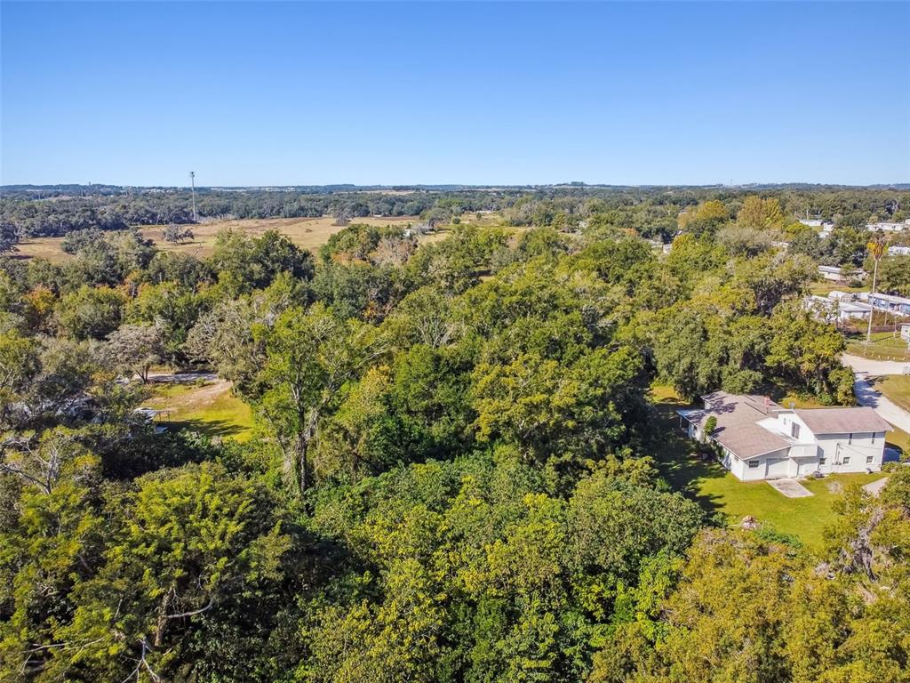 8408 Richland School Road Zephyrhills, FL 33540 - Photo 23 of 29