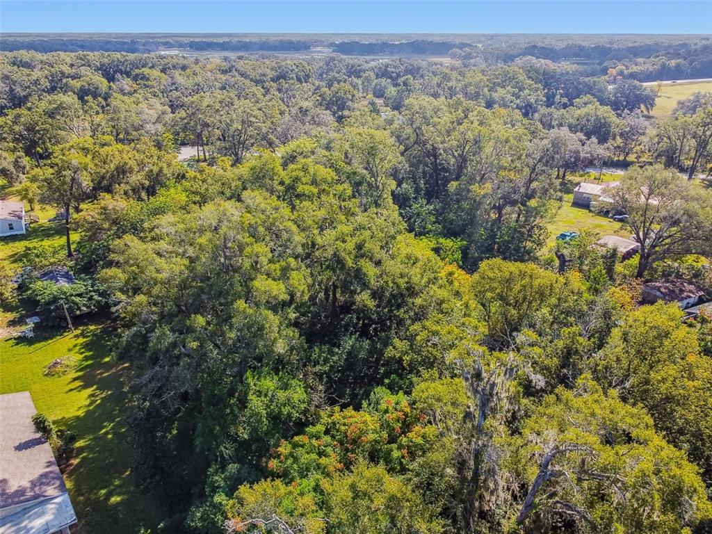 8408 Richland School Road Zephyrhills, FL 33540 - Photo 27 of 29