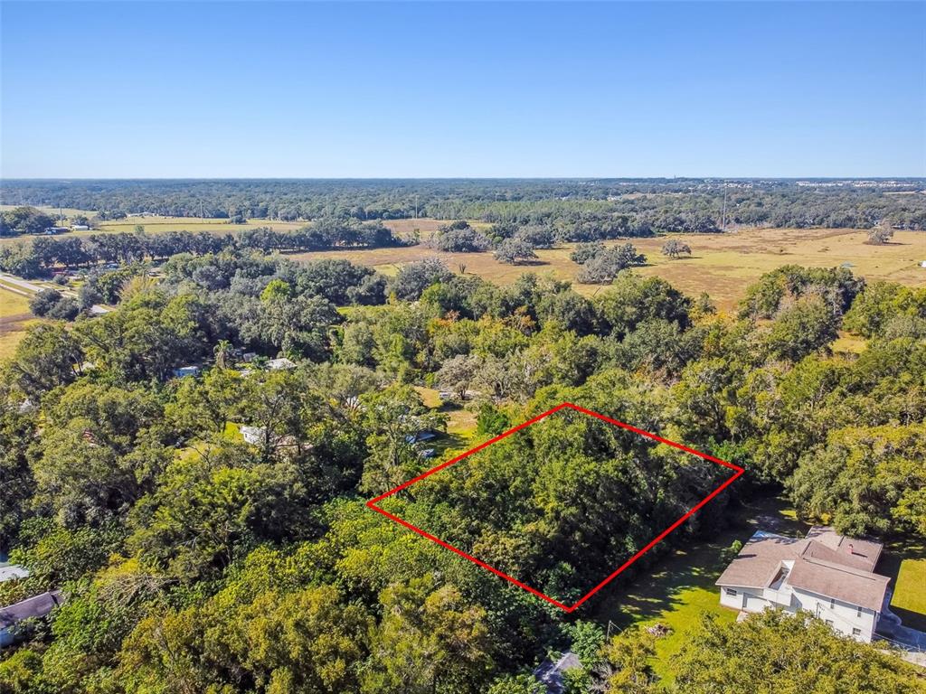 8408 Richland School Road Zephyrhills, FL 33540 - Photo 29 of 29