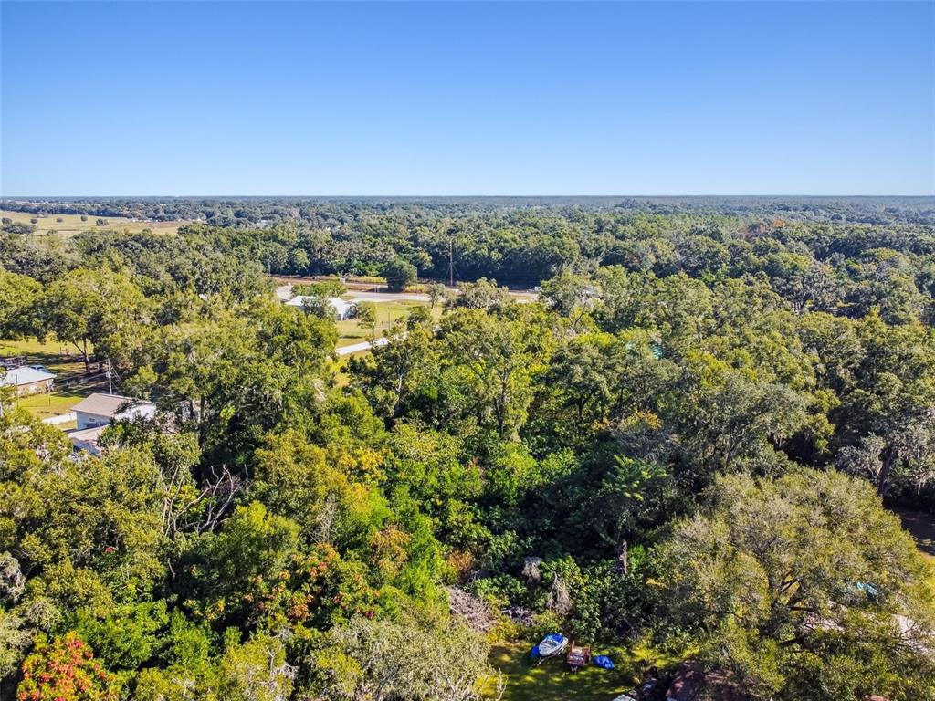 8408 Richland School Road Zephyrhills, FL 33540 - Photo 3 of 29