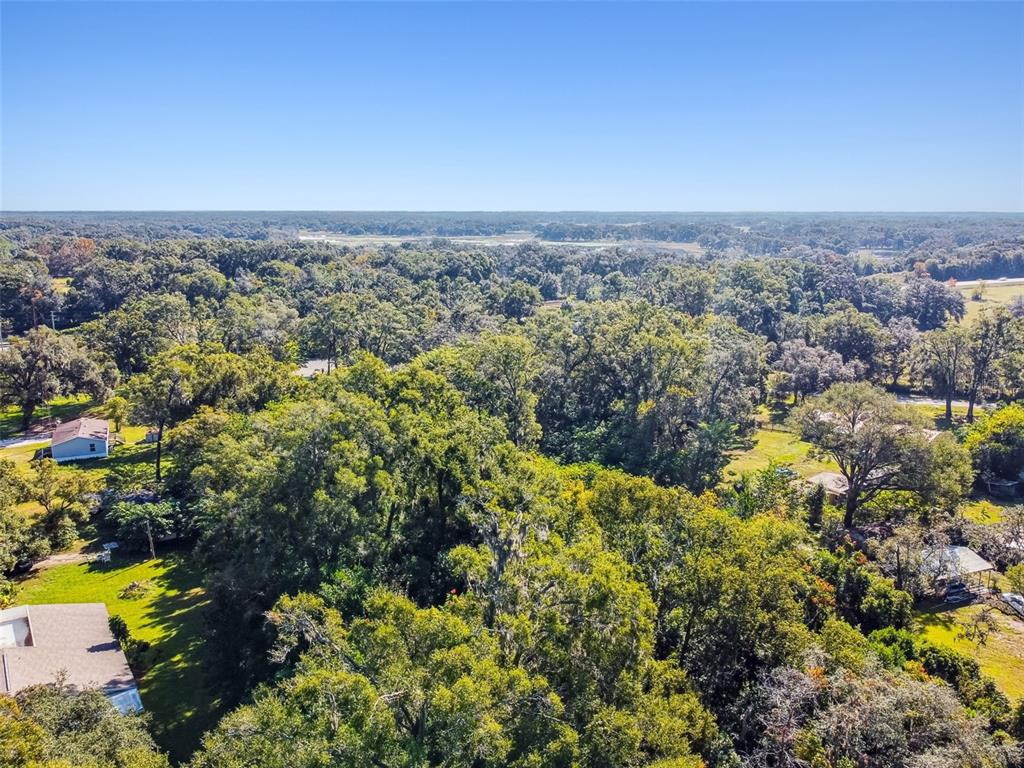 8408 Richland School Road Zephyrhills, FL 33540 - Photo 4 of 29