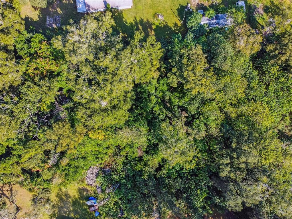 8408 Richland School Road Zephyrhills, FL 33540 - Photo 5 of 29