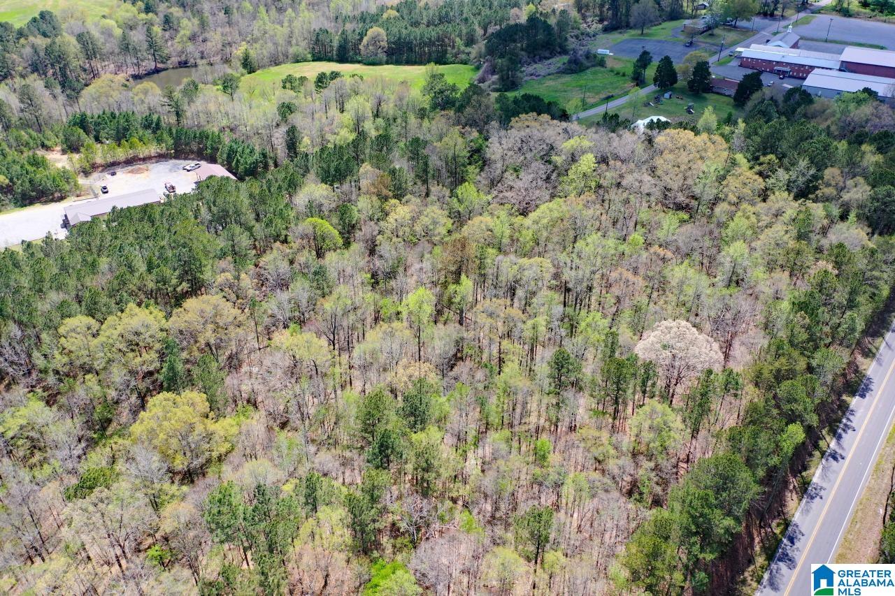 0 County Road 15 Locust Fork, AL 35097 - Photo 9 of 14