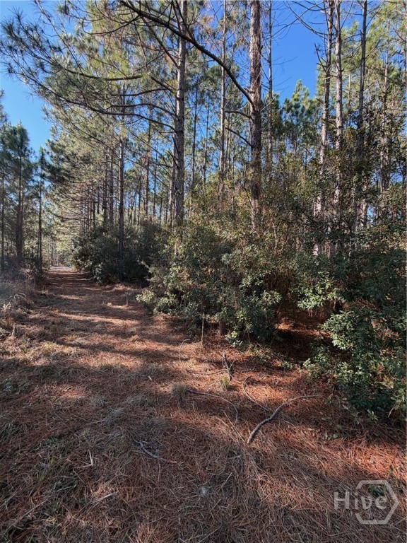 3 C McCall Road Springfield, GA 31329 - Photo 4 of 4