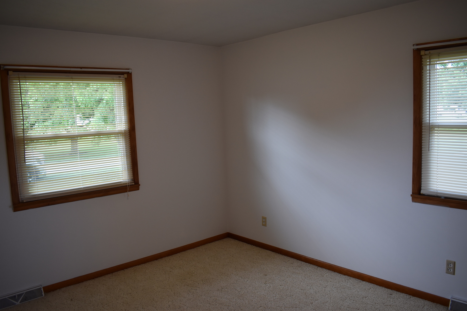 301 East Ririe Place Flanagan, IL 61740 - Photo 15 of 28