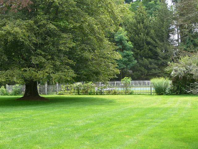 23 Old Mill Pond Road Sheffield, MA 01257 - Photo 4 of 7 Back yard