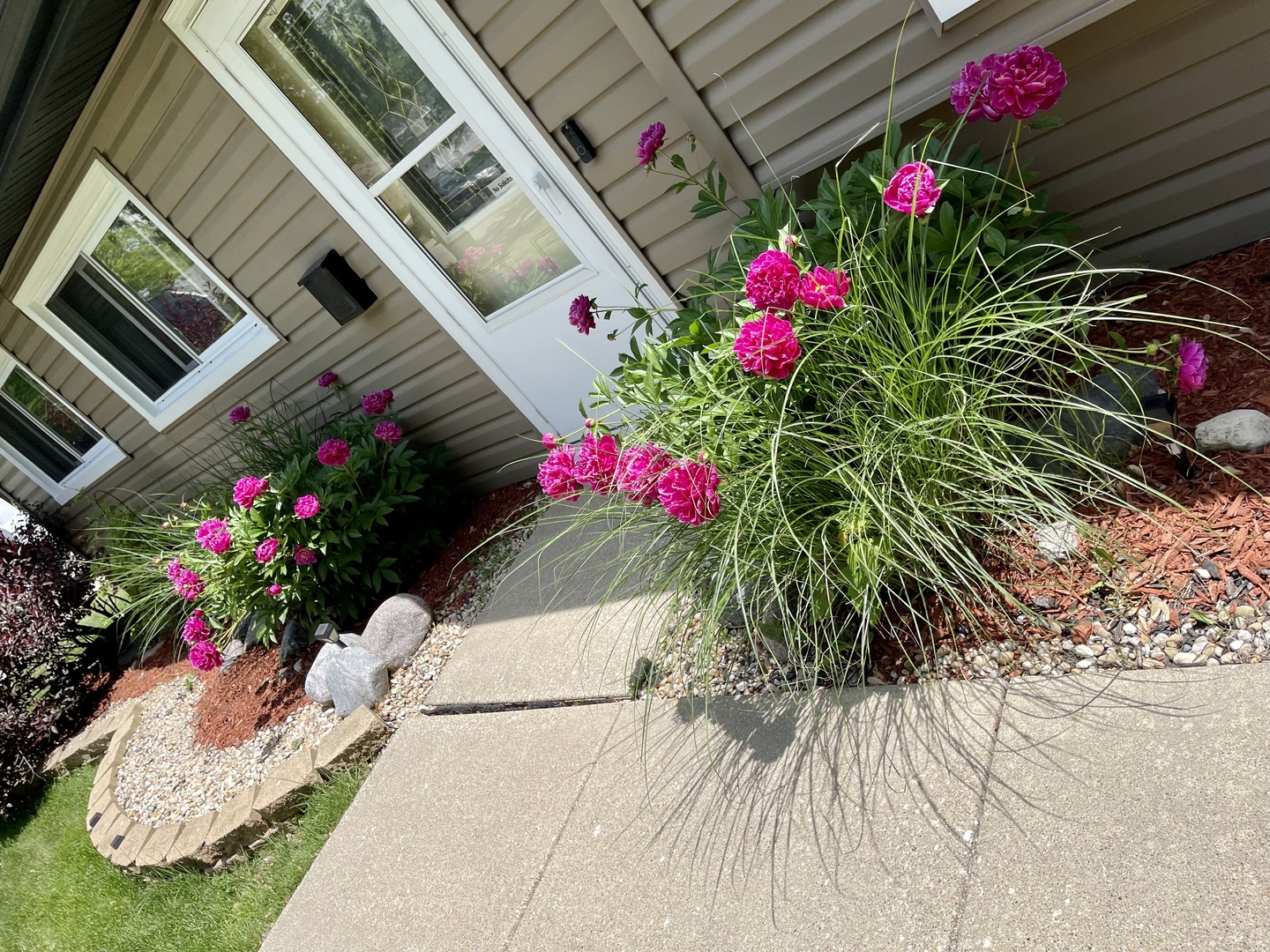 63 Stratford Road Montgomery, IL 60538 - Photo 3 of 24 a flower garden in front of a house