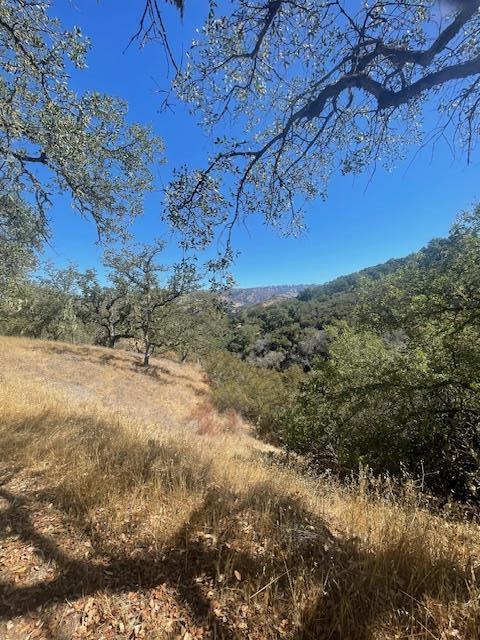 0 Cachagua Road Carmel Valley, CA 93924 - Photo 2 of 6 a view of mountain view with lots of trees