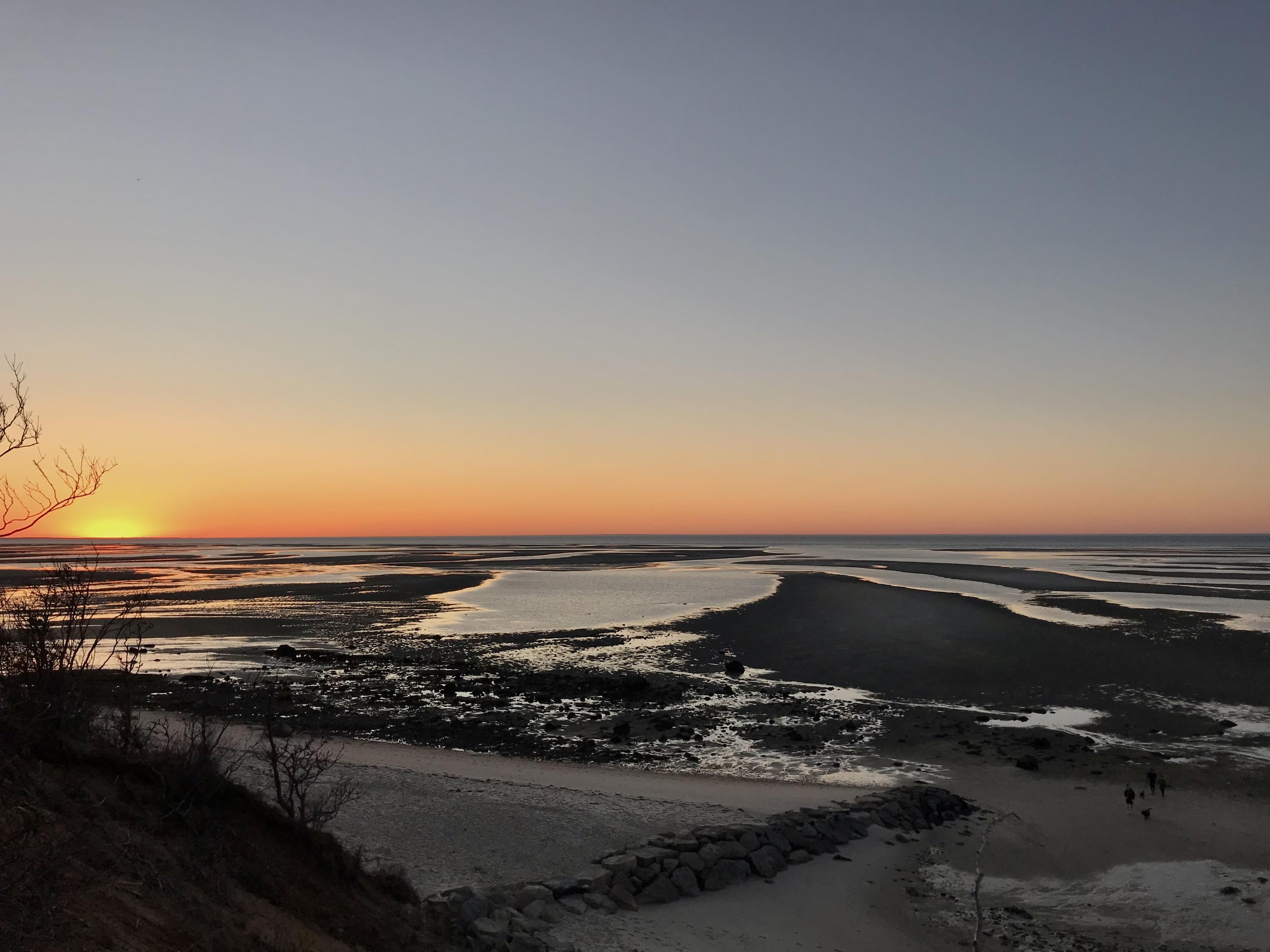 31 Wheeler Drive Brewster, MA 02631 - Photo 38 of 39