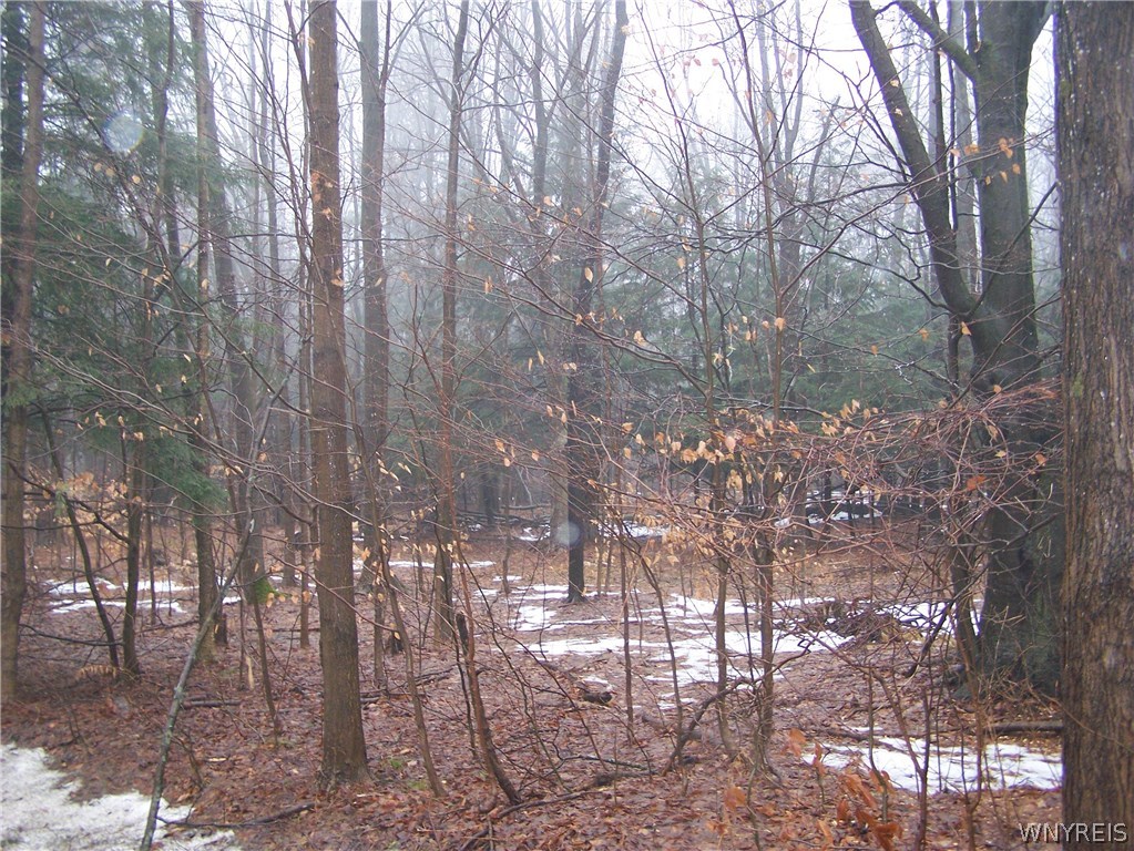 8-acres Heath Road Colden, NY 14033 - Photo 1 of 1