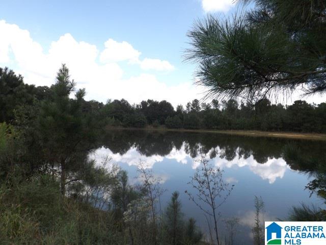 435 Wow Road, Unit 59 Blountsville, AL 35031 - Photo 26 of 49