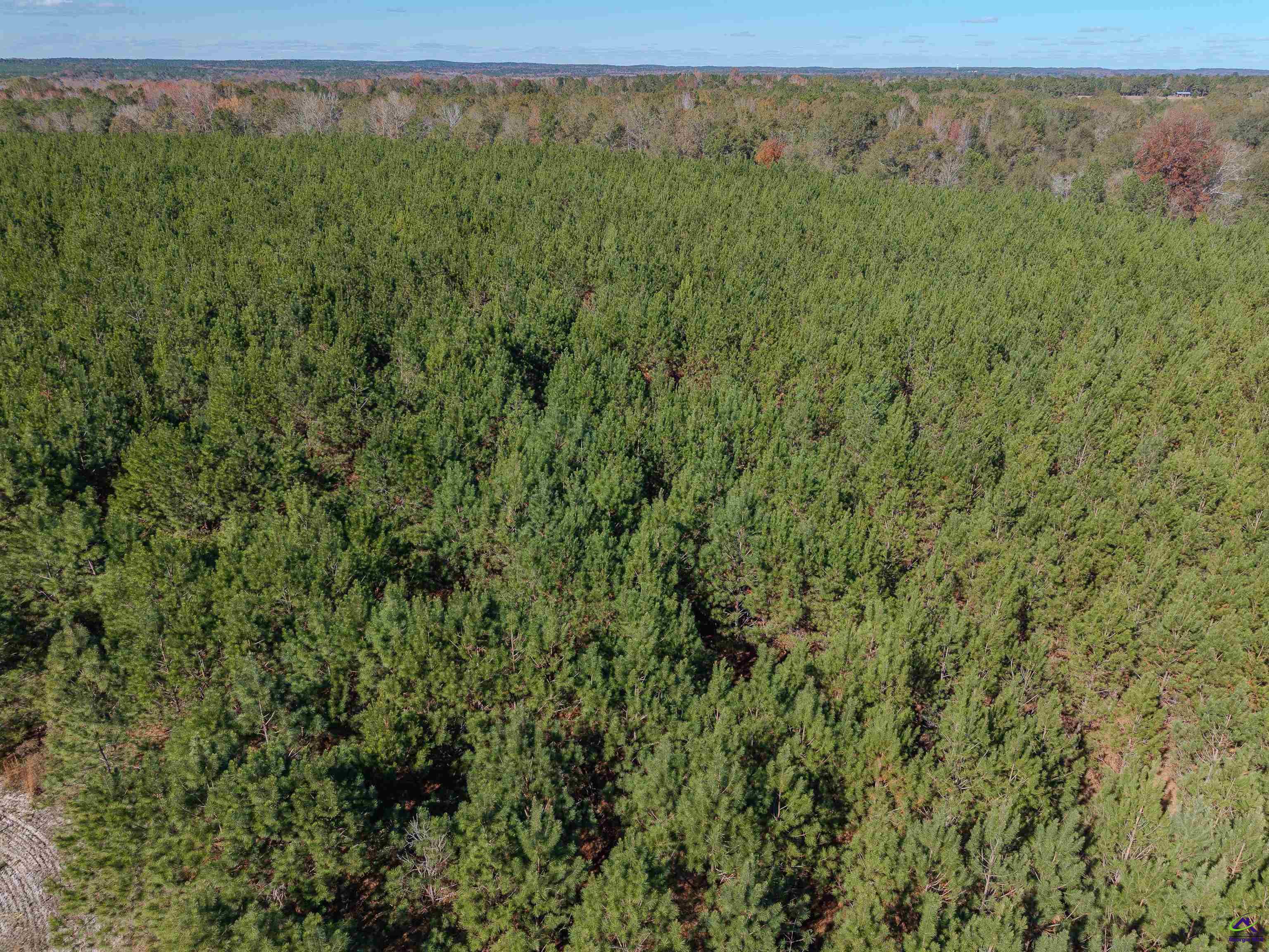 0 Avera Road Roberta, GA 31078 - Photo 5 of 5