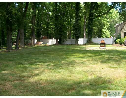 21 Maida Road Edison, NJ 08820 - Photo 3 of 10 a view of a trees in a yard