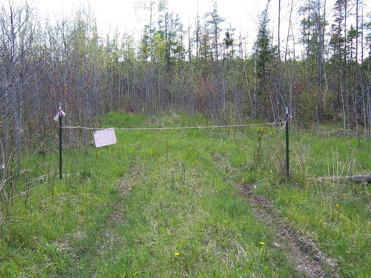 80-acres Johnson Road Crandon, WI 54520 - Photo 10 of 15 Gallery Image 10