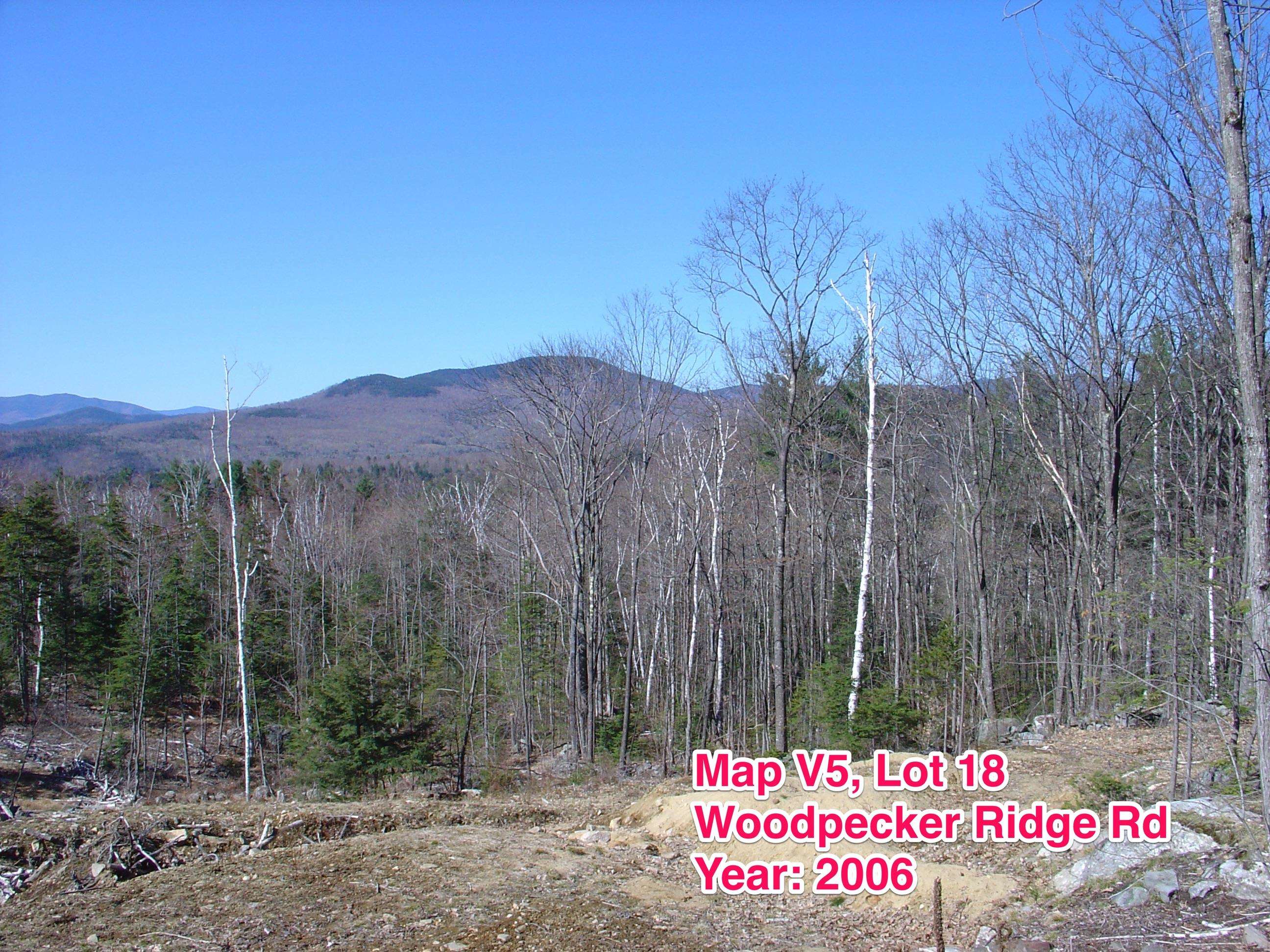 V5-18 Woodpecker Rdg Road Jackson, NH 03846 - Photo 2 of 10