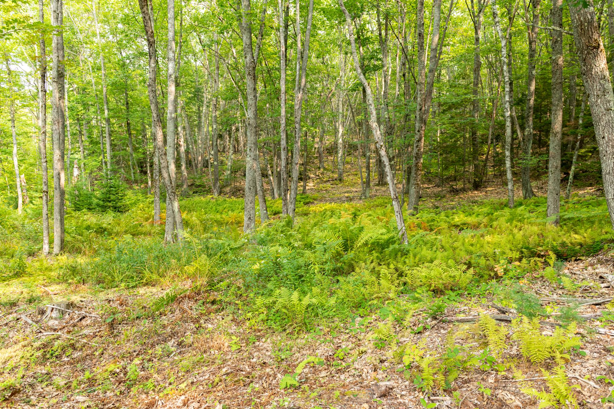 650 Berrys Mill Road West Bath, ME 04530 - Photo 11 of 39 650BM 5052