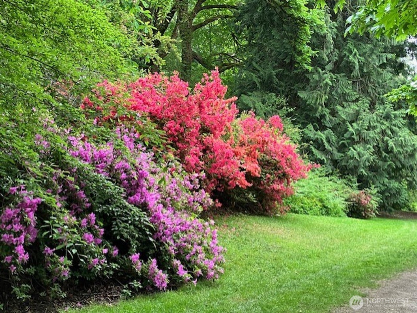 6423 Sand Point Way Northeast Seattle, WA 98115 - Photo 32 of 40 a view of a flower in a garden