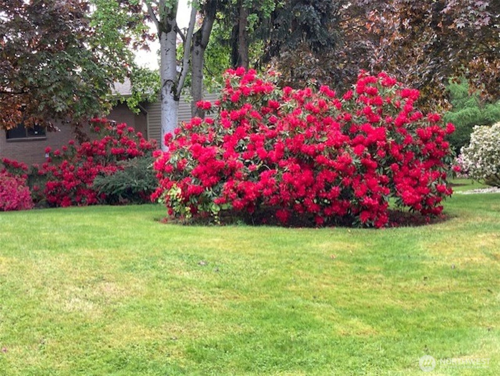 6423 Sand Point Way Northeast Seattle, WA 98115 - Photo 33 of 40